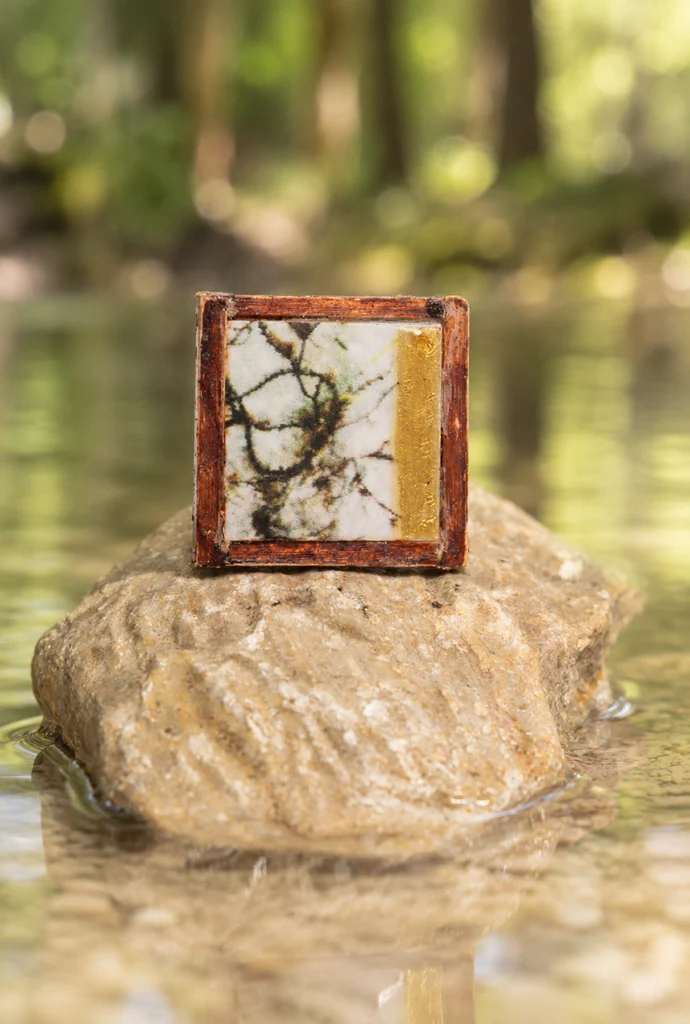 anello quadrato foto alghe in acqua