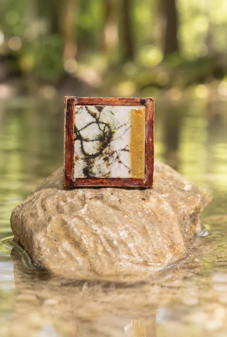 anello quadrato foto alghe in acqua